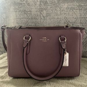 Mini Surrey Carryall Coach Crossbody